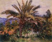 Claude Monet A Palm Tree at Bordighera Germany oil painting artist